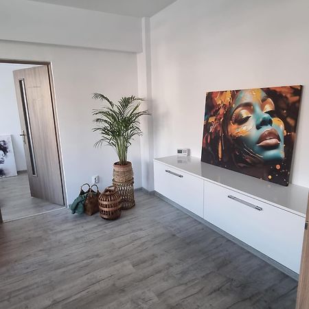 Central View Apartment Deva Dış mekan fotoğraf